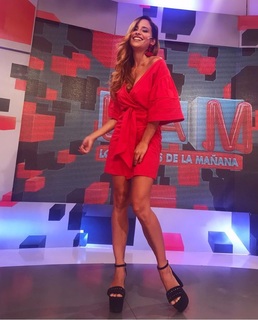 Lourdes Sánchez feet photo 6