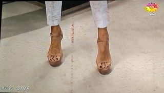 Lourdes Sánchez feet photo 16