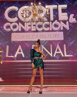 Lourdes Sánchez feet photo 6