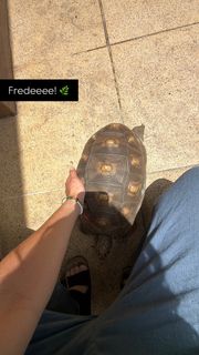 Luana Maluf feet photo 3