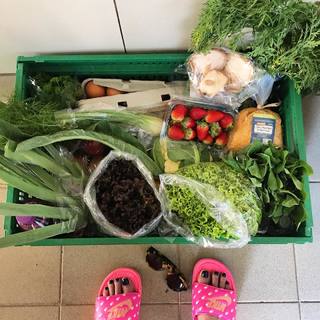 Luana Piovani feet photo thumbnail