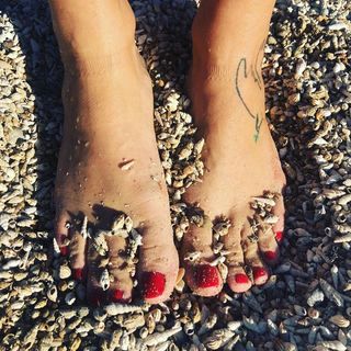 Luana Piovani feet photo thumbnail