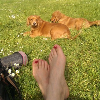 Lucia Ocone feet photo 15