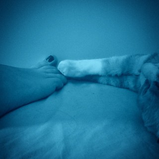 Lucia Ocone feet photo 14