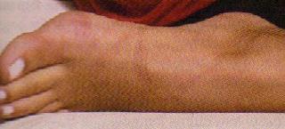 Luciana Abreu feet photo 3