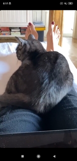 Luciana Gimenez feet photo thumbnail