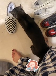 Luciana Gimenez feet photo thumbnail