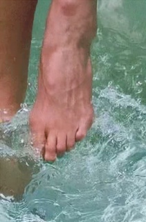 Luciana Gimenez feet photo thumbnail