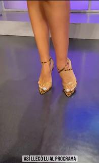 Luciana Sandoval feet photo 13