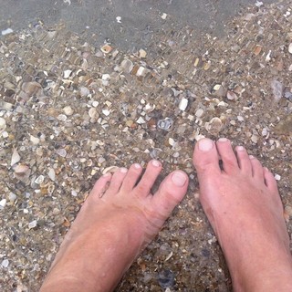 Luciana Vendramini feet photo 1