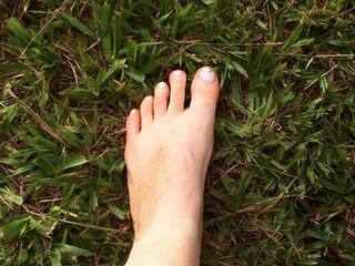 Luciana Vendramini feet photo 12