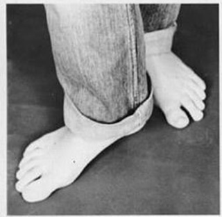 Luciana Vendramini feet photo 4
