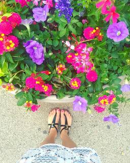 Lucie Fink feet photo 6