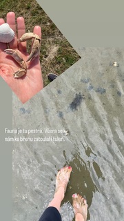 Lucie Krízková feet photo 8