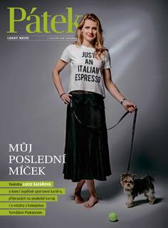 Lucie Safárová feet photo 3