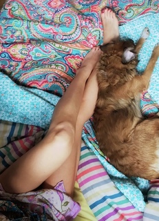 Lucilla Agosti feet photo thumbnail