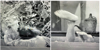 Lucille Ball feet photo 11