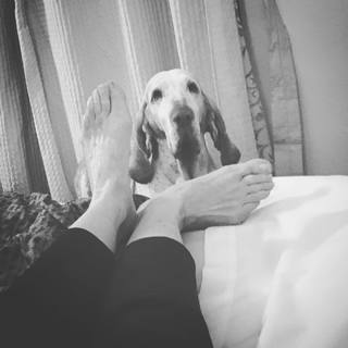 Lucrezia Lante della Rovere feet photo 10