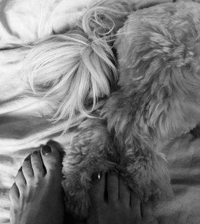 Lucrezia Millarini feet photo 1