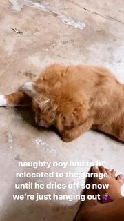 Lucy Aragon feet photo thumbnail