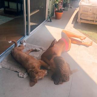 Lucy Aragon feet photo thumbnail