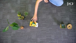 Lucy Ayoub feet photo 5