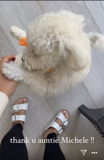 Lucy Hale feet photo thumbnail