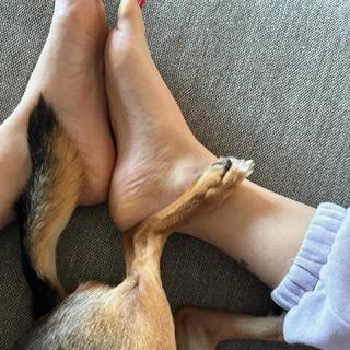 Ludovica Bizzaglia feet photo 4