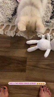 Ludovica Frasca feet photo thumbnail