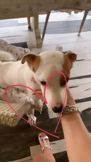 Ludovica Pagani feet photo thumbnail