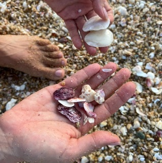 Ludwika Paleta feet photo thumbnail