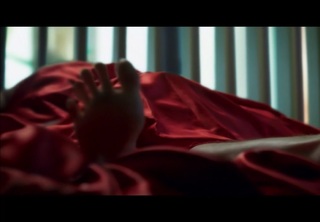 Luisa Arraes feet photo 19