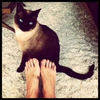 Luisa Micheletti feet photo 16