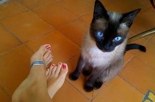 Luisa Micheletti feet photo 3