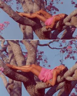 Luiza Brunet feet photo 3