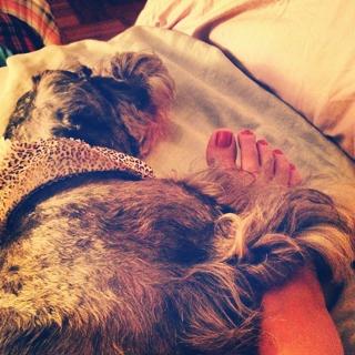 Luiza Possi feet photo thumbnail