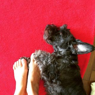 Luiza Possi feet photo thumbnail