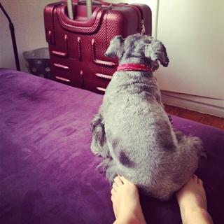 Luiza Possi feet photo thumbnail