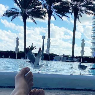 Luiza Valdetaro feet photo 6