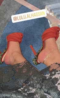 Lulu Alhassan feet photo 19