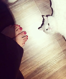 Lulu Alhassan feet photo 9