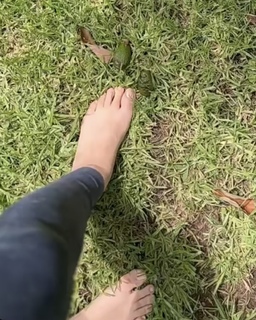 Lulu Alhassan feet photo 19