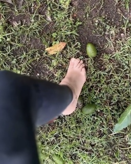 Lulu Alhassan feet photo 17