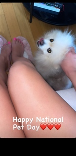 Luna Đogani feet photo 19
