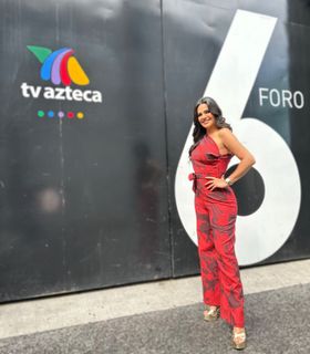 Luz Elena González feet photo 8