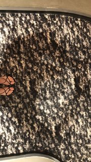 Lykke Li feet photo 2