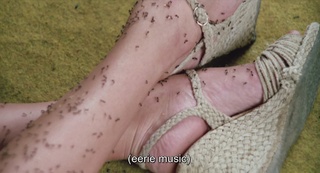 Lynda Day George feet photo 3
