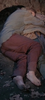Lynda Day George feet photo 1