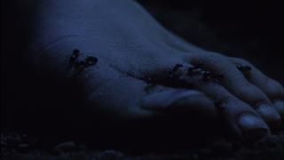 Lynne Frederick feet photo 7