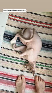 Lyubov Tolkalina feet photo 15